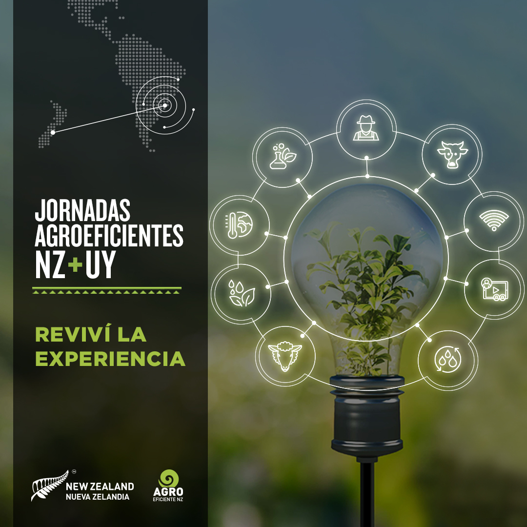 agroeficientenz's tweet photo. Gracias por visitarnos, te invitamos a revivir la experiencia de las Jornadas Agroeficientes NZ + UY en nuestra plataforma, que mantendremos abierta hasta el 31 de marzo.
https://t.co/tJYvJMSrIY
#agritechnz #agroeficientenz #nzlatinamerica #nzbusiness #nzuy https://t.co/tCpiHamEu5