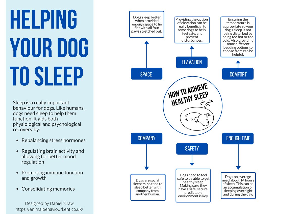 AnimalKent's tweet photo. Sleep is such an important and often overlooked behaviour for dogs (and all animals). It helps with reduction of stress, mood regulation, consolidating learning and much more. 
As owners, there are lots of things we can do to help our dogs get better sleep, some key points below. https://t.co/g6QNF11UcR