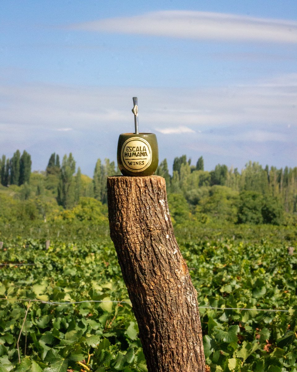 Escala Humana Wines tweet media