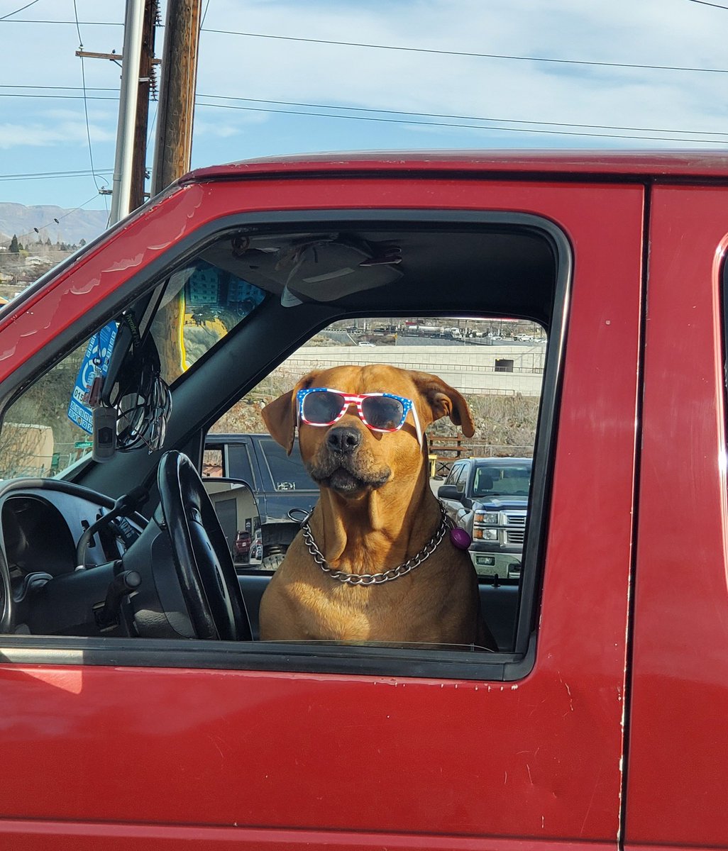 Had to stop and take a picture of this guy!  Gotta love #dogs

#dogslife #dogsarefamily