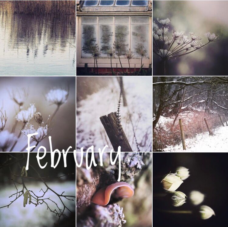 #february