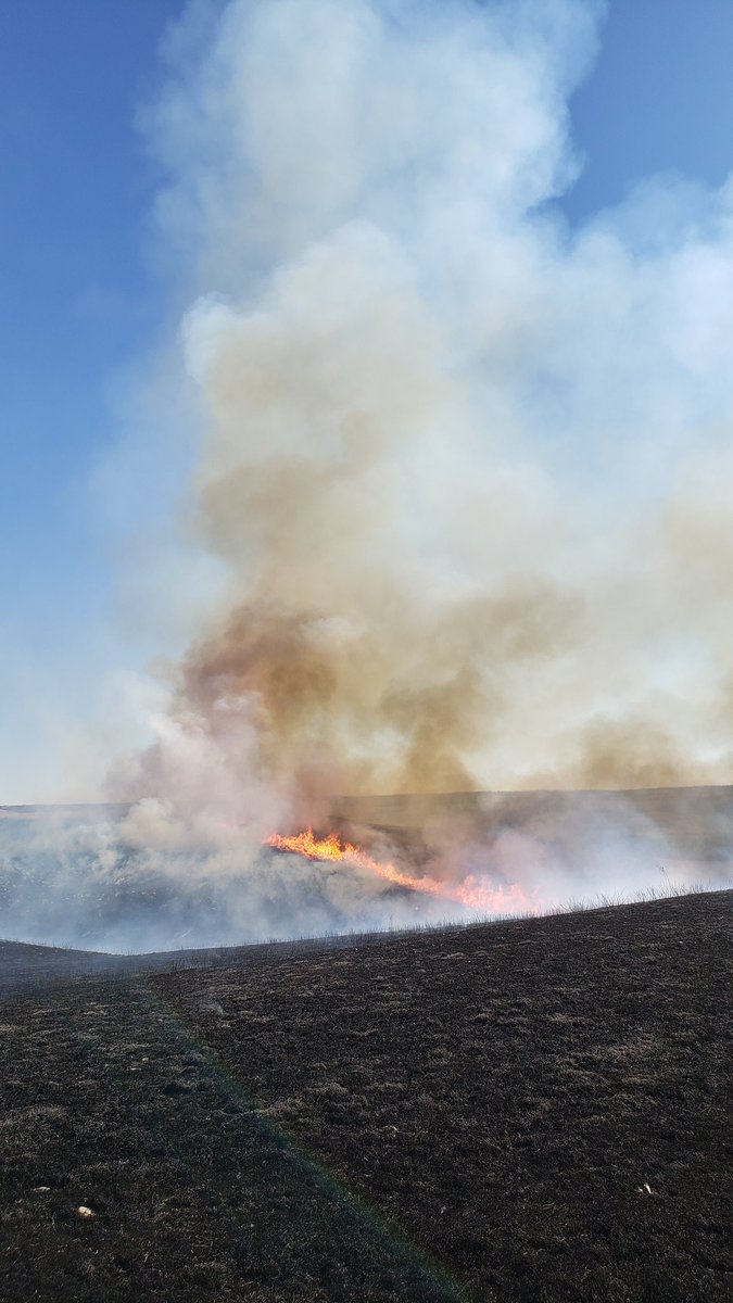 KonzaDirector's tweet photo. A successful start to the 2021 burning season! https://t.co/igi9s6ENSs