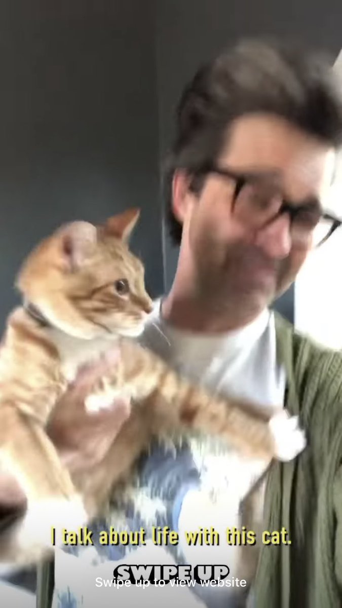 mythicallyizzy's tweet image. the cat woke up and chose violence