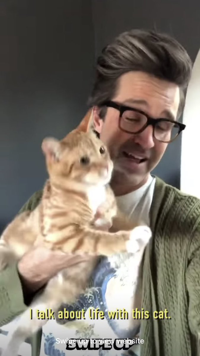 mythicallyizzy's tweet image. the cat woke up and chose violence