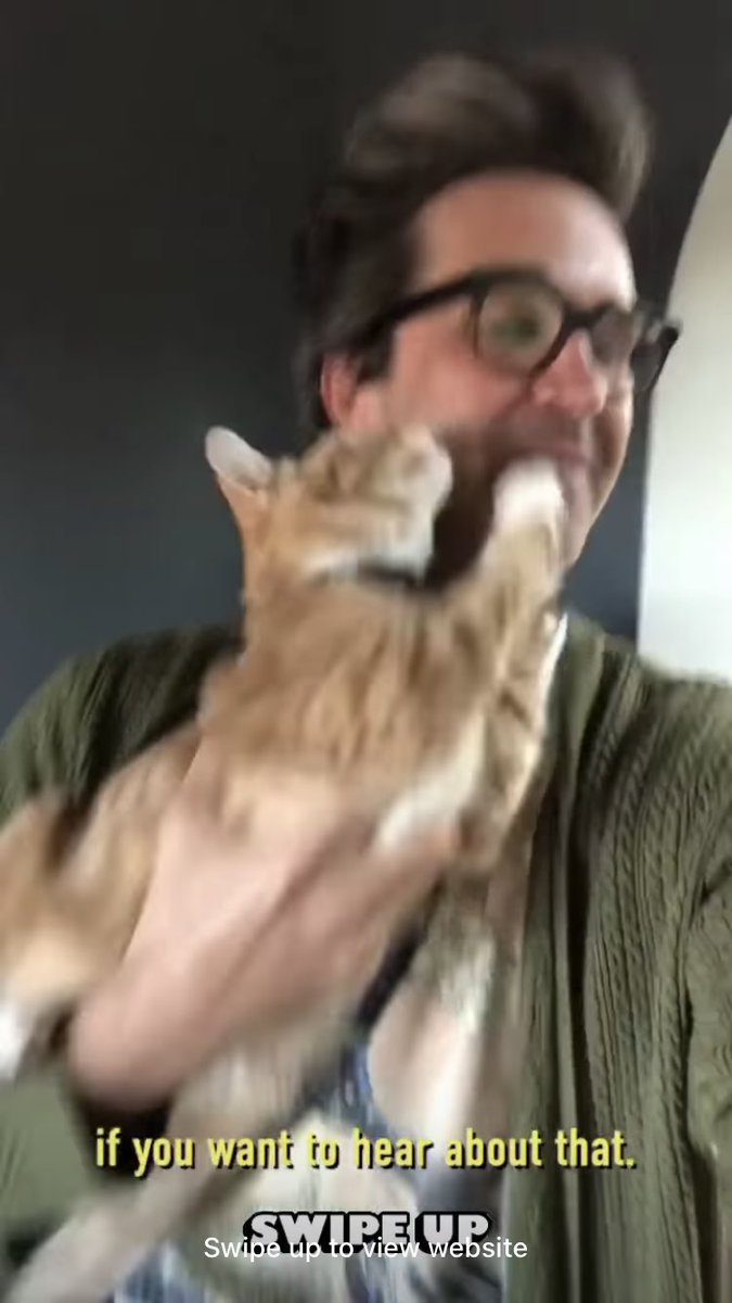 mythicallyizzy's tweet image. the cat woke up and chose violence