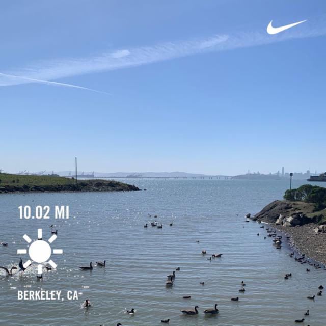I may be getting too old for this. But the view at the halfway mark made it worthwhile. ⁦<a href="/theSFmarathon/">San Francisco Marathon</a>⁩ #marathontraining #friarontherun #Runforrefugees #nikerunclub ⁦<a href="/Nike/">Nike</a>⁩ ⁦<a href="/NikeRunClub1/">Nike Run Club</a>⁩