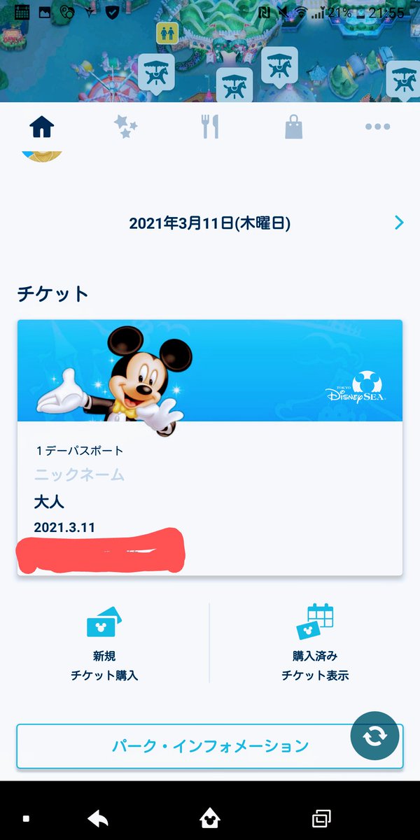 ディズニーシーチケット ディズニーシーチケット