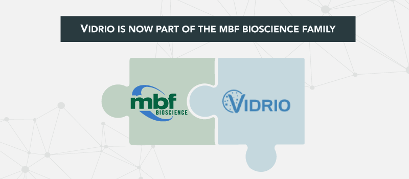 MBFBioscience's tweet photo. #MBF Bioscience and #Vidrio Technologies (@vidrio_tech ) joined forces! Together we can do so much more.  #committed to #science #innovation 

https://t.co/8h2eaerAxE https://t.co/MLoX5hEnrz