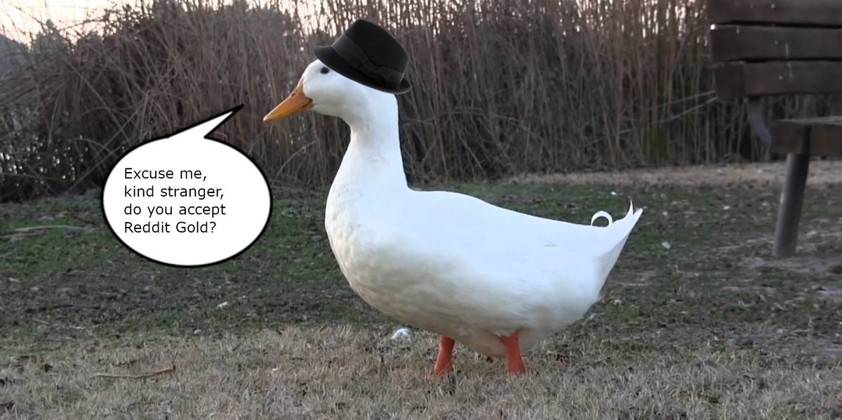 sneeze 🏳️‍⚧️ tweet media