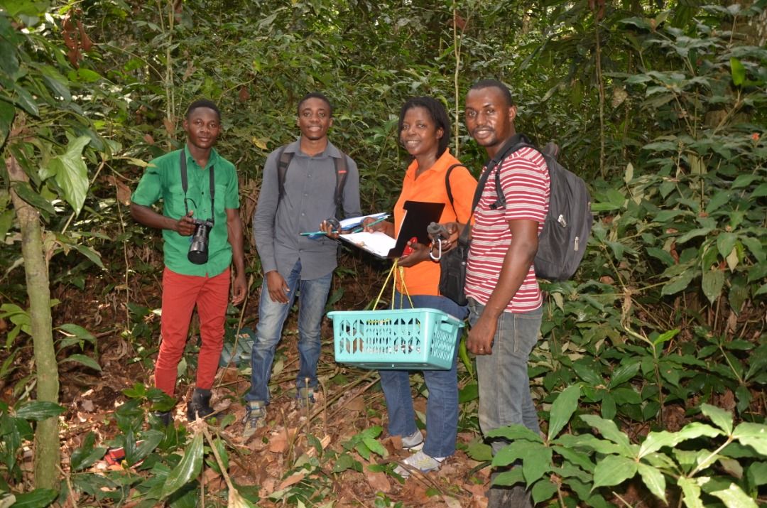 Mytips_UP's tweet photo. “Capacity Building for the Rapid Documentation of Mycodiversity in Central and West Africa”
https://t.co/2CHjPiiLkE https://t.co/muczy3R1bO