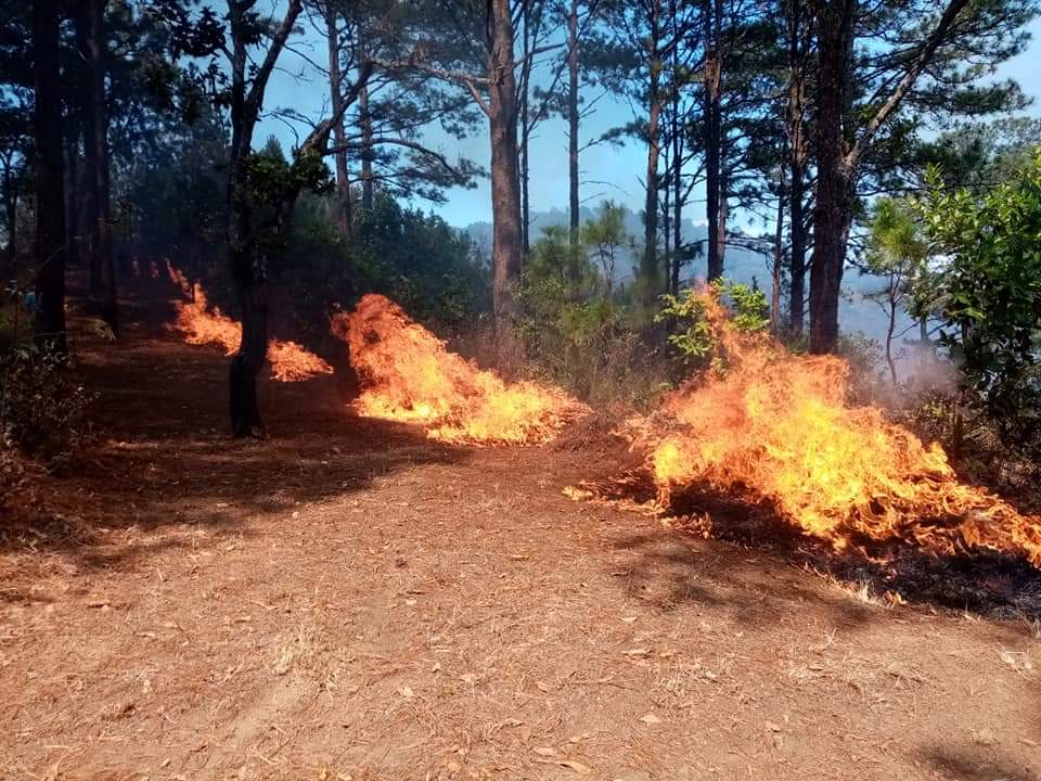 Cezserrano's tweet photo. 🚨🚨 AMIGOS, LA MONTAÑONA SE ESTÁ QUEMANDO:

Justamente desde la zona del municipio de Las Vueltas, departamento de Chalatenango. Quienes puedan apoyar para extinguir este gran incendio 🔥 por favor apoyar. Ya les voy a compartir un video donde explican la problemática. https://t.co/qyPB0tai3M