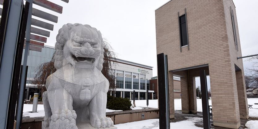 toronto.com tweet media