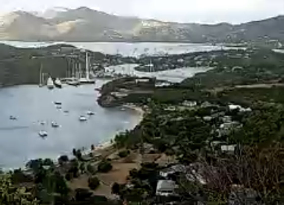 アンティグア バーブーダ Ant Twitter