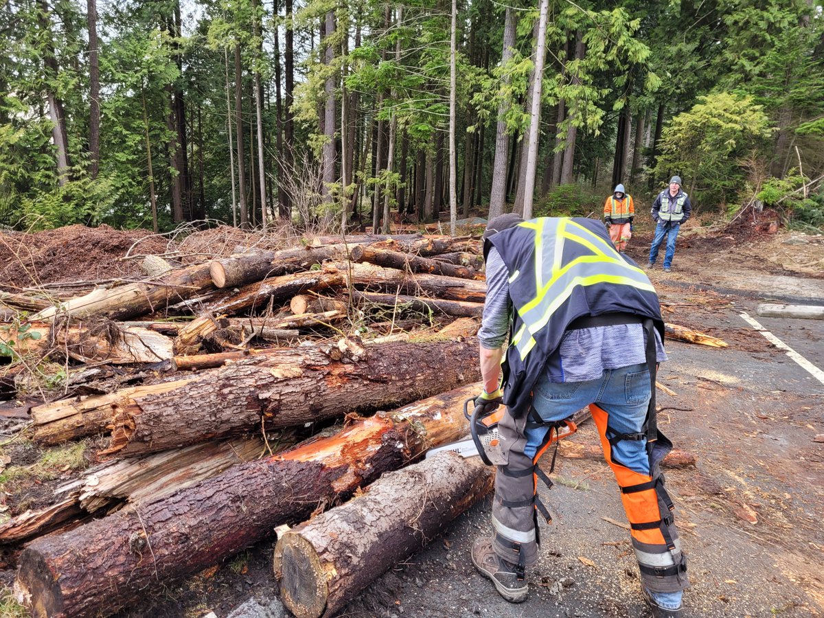 Our Outdoor Classroom got some help from the <a href="/sd43bc/">School District 43</a> team to cut and remove dangerous trees.  The backhoe also groomed our wheelchair accessible entrance. <a href="/43EagleMountain/">EagleMountain Middle</a>. Thanks to <a href="/sd43bc/">School District 43</a>
 multicultural grant for provide this opportunity to our students! #ECSfund <a href="/DanielMar785/">Daniel Martin</a>
