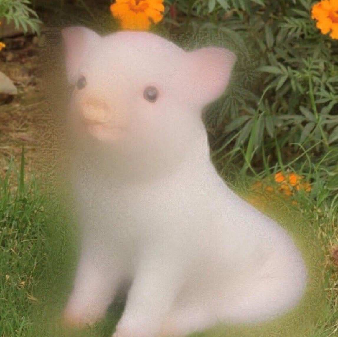 i Love u Facetune pig