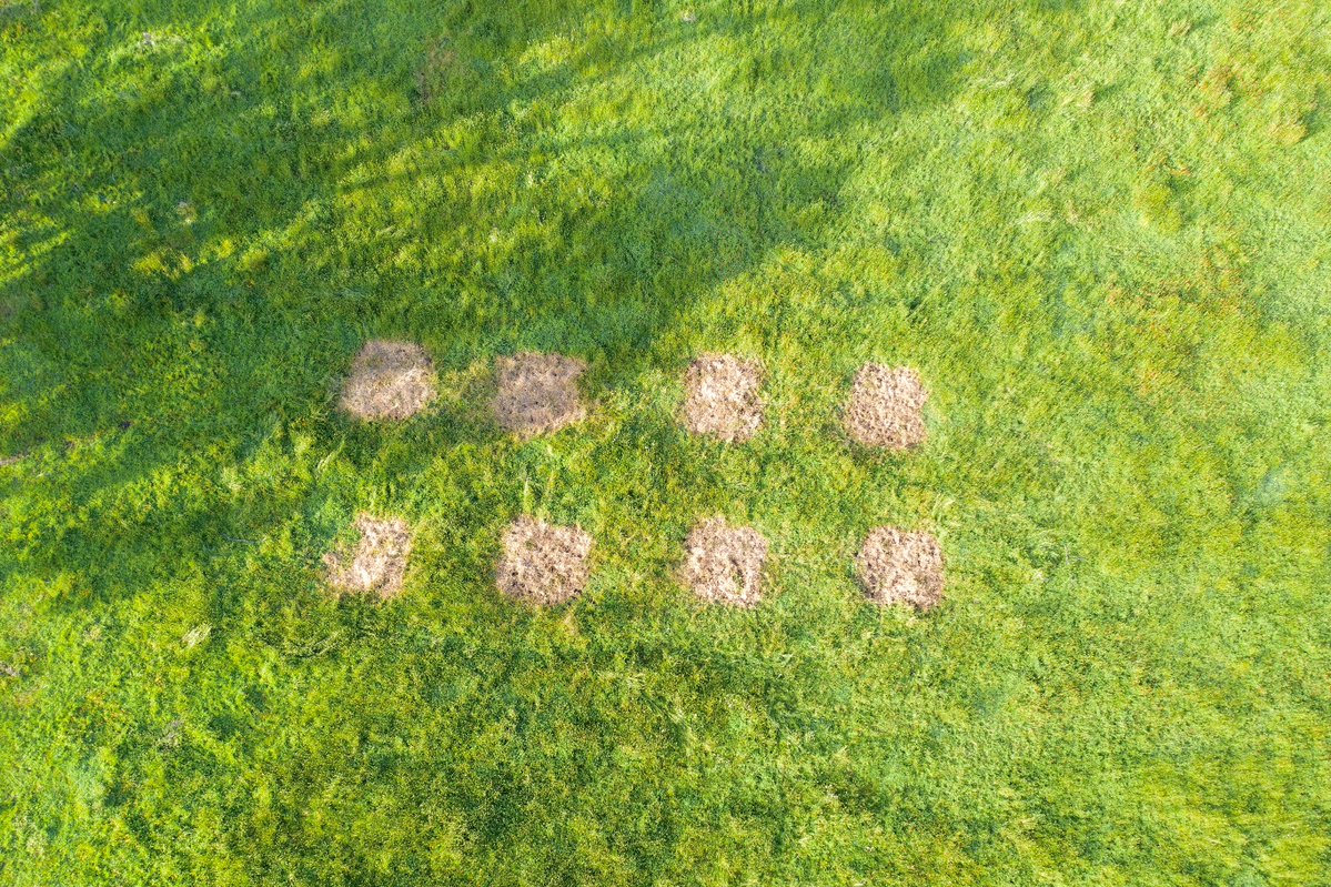 Airpacsolution's tweet photo. Some after photos from spot spray on plain field and steep terrain, 5mx5m grid trail projects done by utilising our Agriculture drone - P30. #PrecisionAgriculture #Agrihack #WeedControl https://t.co/TvpZNVCOs7