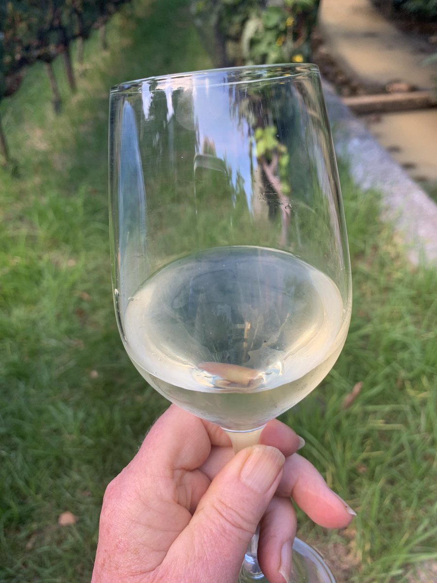 Harvest 2020 from <a href="/Vineyard_Hotel/">The Vineyard</a> Sauvignon/Semillon blend. Low 9% alcohol!