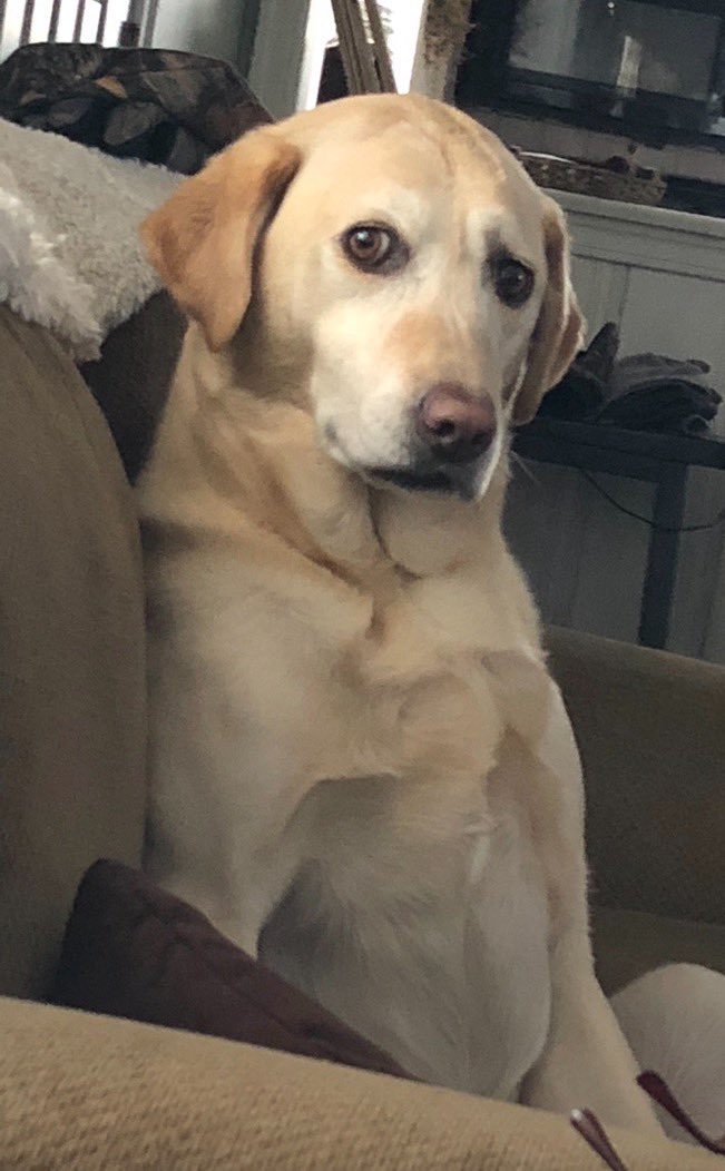 @ChescoGirl tweet media