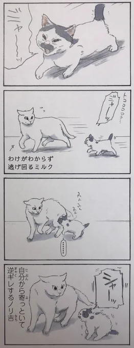 『拾い猫のモチャ5』の重版が決定いたしました!
皆様が初版をお手に取って頂いた証です。入手までのお手間や出費を思うと胸が一杯になります。
純真無垢で愛らしい猫という存在に少しの間でも癒しを感じていただければ何よりです。(4コマはモチャ5収録) 