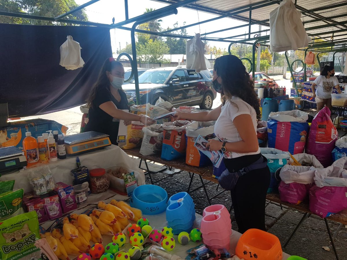 SilviaFerrada's tweet photo. ¡La feria es fundamental si queremos tener una alimentación sana. Hace años compro en FERIA #LASCODORNICES soy “casera” de esta feria modelo techada y pequeña, con productos de muy buena calidad. Los y las caseras q atienden son muy amables ¡100% recomendada! #Macul #feria https://t.co/9pyRq907fb