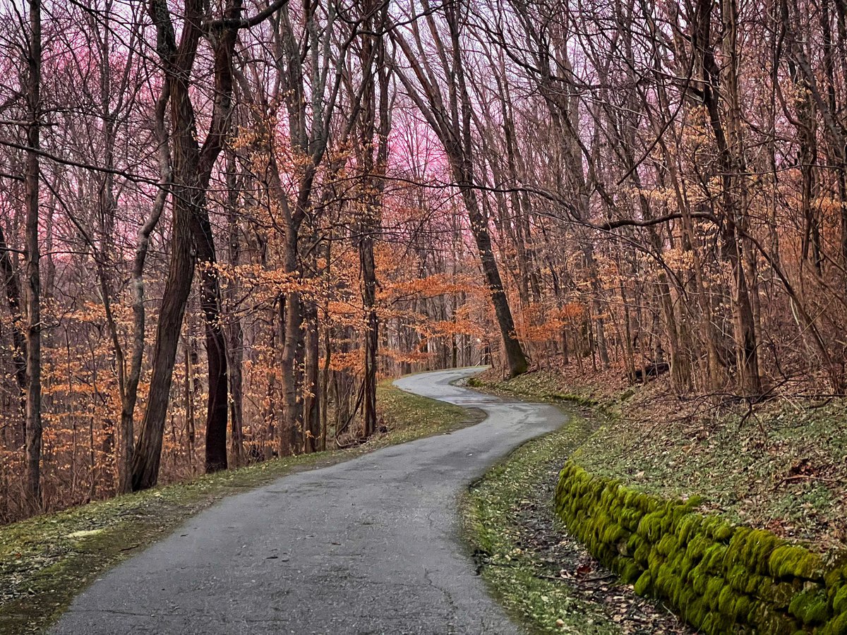 Reasons to be thankful, but be thankful without reason