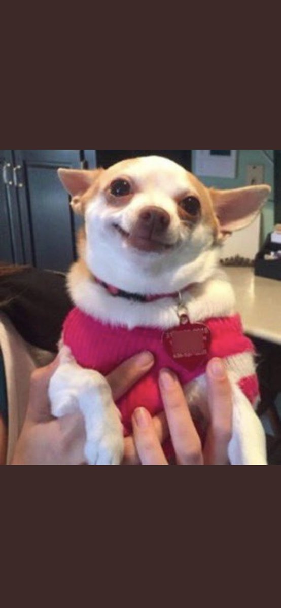 me when                          me when Katie
all the girls            vs       gets a whole 
gang up on                       segment 
Katie
#TheBachelor