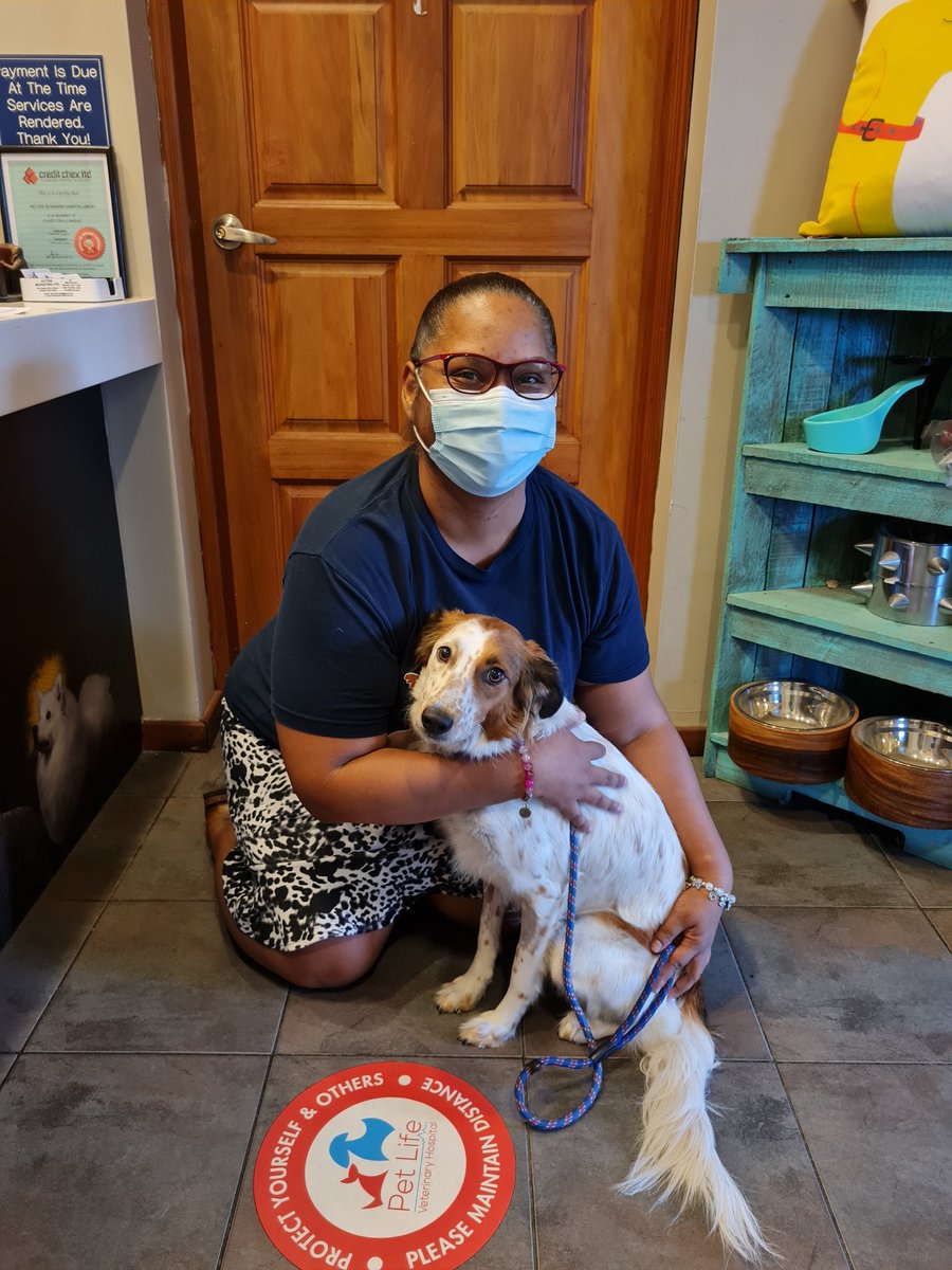 CaribbeanAccent's tweet photo. 🐕🥰🩺💊🙌🏽 "Mom, your hugging me a lot!" This is probably what Phoebe was thinking in the first photo.

I collected her from Pet Life, Sando today, following treatment for a thankfully recoverable case of pancreatitis

📌 The lesson: NO more human food

#dogsarefamily #pothound https://t.co/N2jjksxuqD