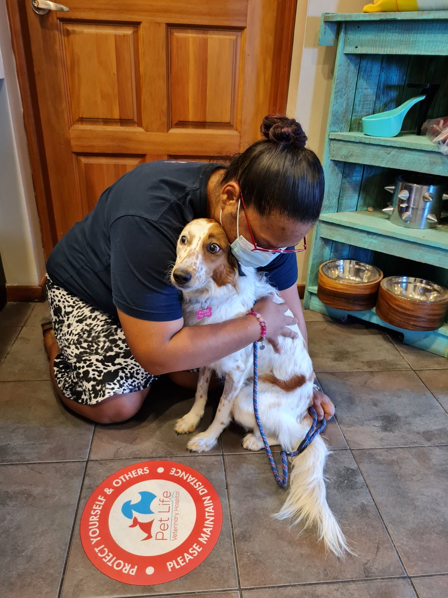 CaribbeanAccent's tweet photo. 🐕🥰🩺💊🙌🏽 "Mom, your hugging me a lot!" This is probably what Phoebe was thinking in the first photo.

I collected her from Pet Life, Sando today, following treatment for a thankfully recoverable case of pancreatitis

📌 The lesson: NO more human food

#dogsarefamily #pothound https://t.co/N2jjksxuqD
