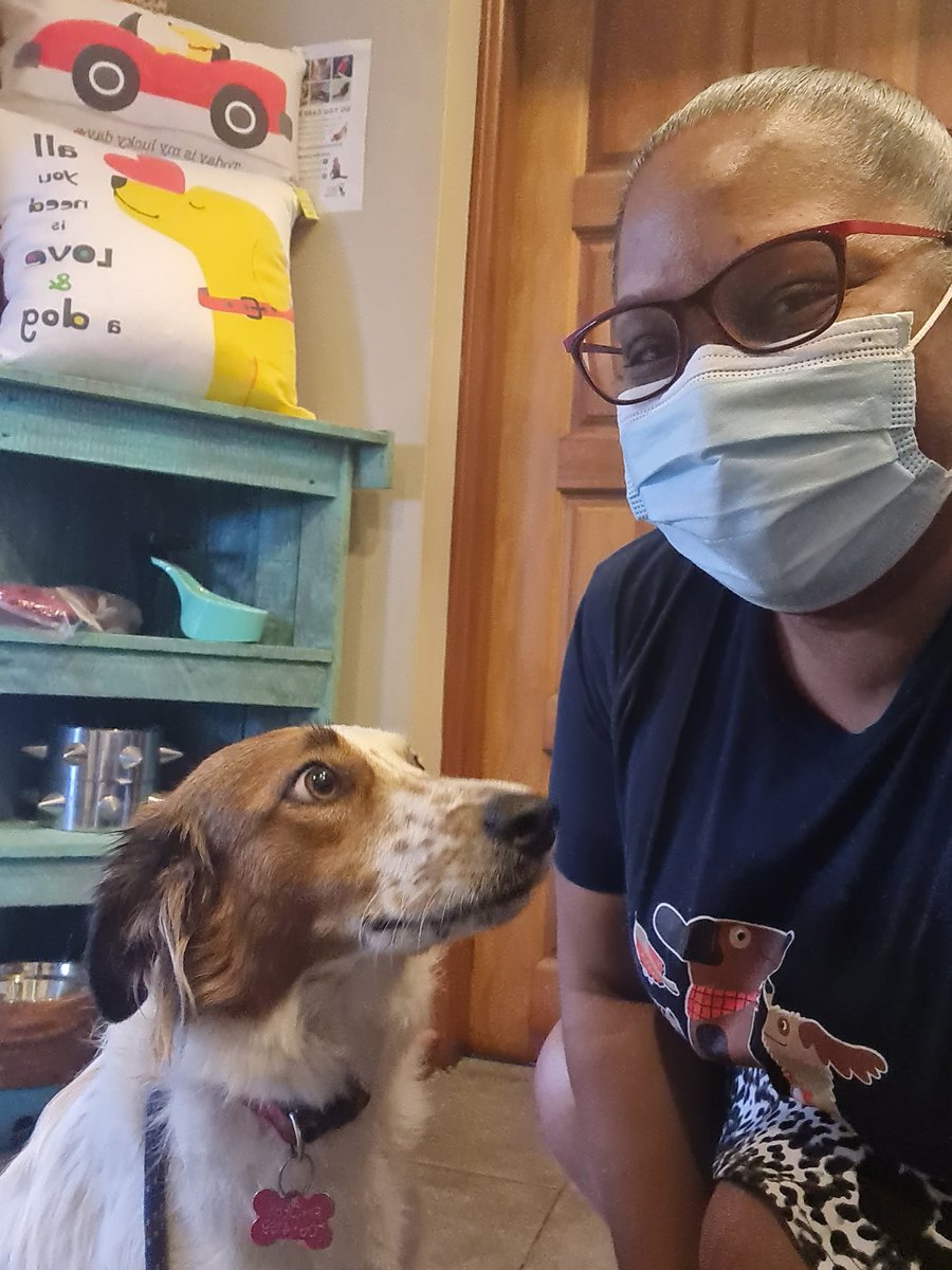 CaribbeanAccent's tweet photo. 🐕🥰🩺💊🙌🏽 "Mom, your hugging me a lot!" This is probably what Phoebe was thinking in the first photo.

I collected her from Pet Life, Sando today, following treatment for a thankfully recoverable case of pancreatitis

📌 The lesson: NO more human food

#dogsarefamily #pothound https://t.co/N2jjksxuqD