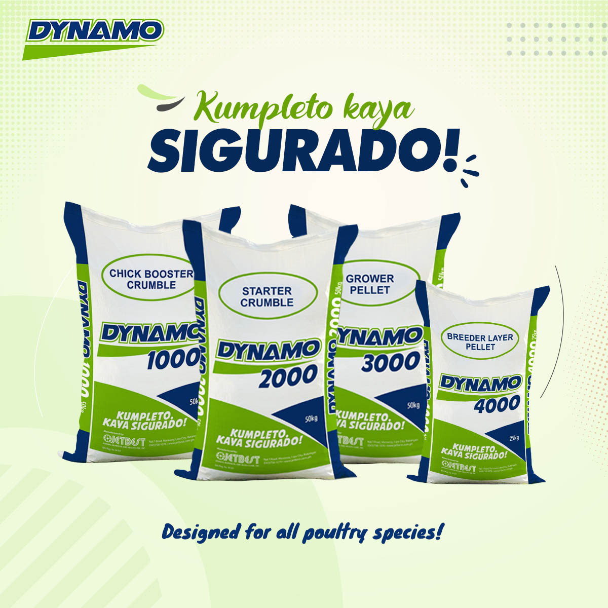 JetStarFeeds's tweet photo. Para sa tamang pagpapakain at kompletong nutrisyon ng inyong mga alagang manok, gumamit ng DYNAMO! Kumpleto, kaya sigurado! 💯

-

#Dynamo #KumpletoKayaSigurado #tuloyangalaga #poultry #chickens #chicken #eggs #farm #farmlife #poultryfarm #poultryfarming #chooks #farming https://t.co/gw66fYcVsV