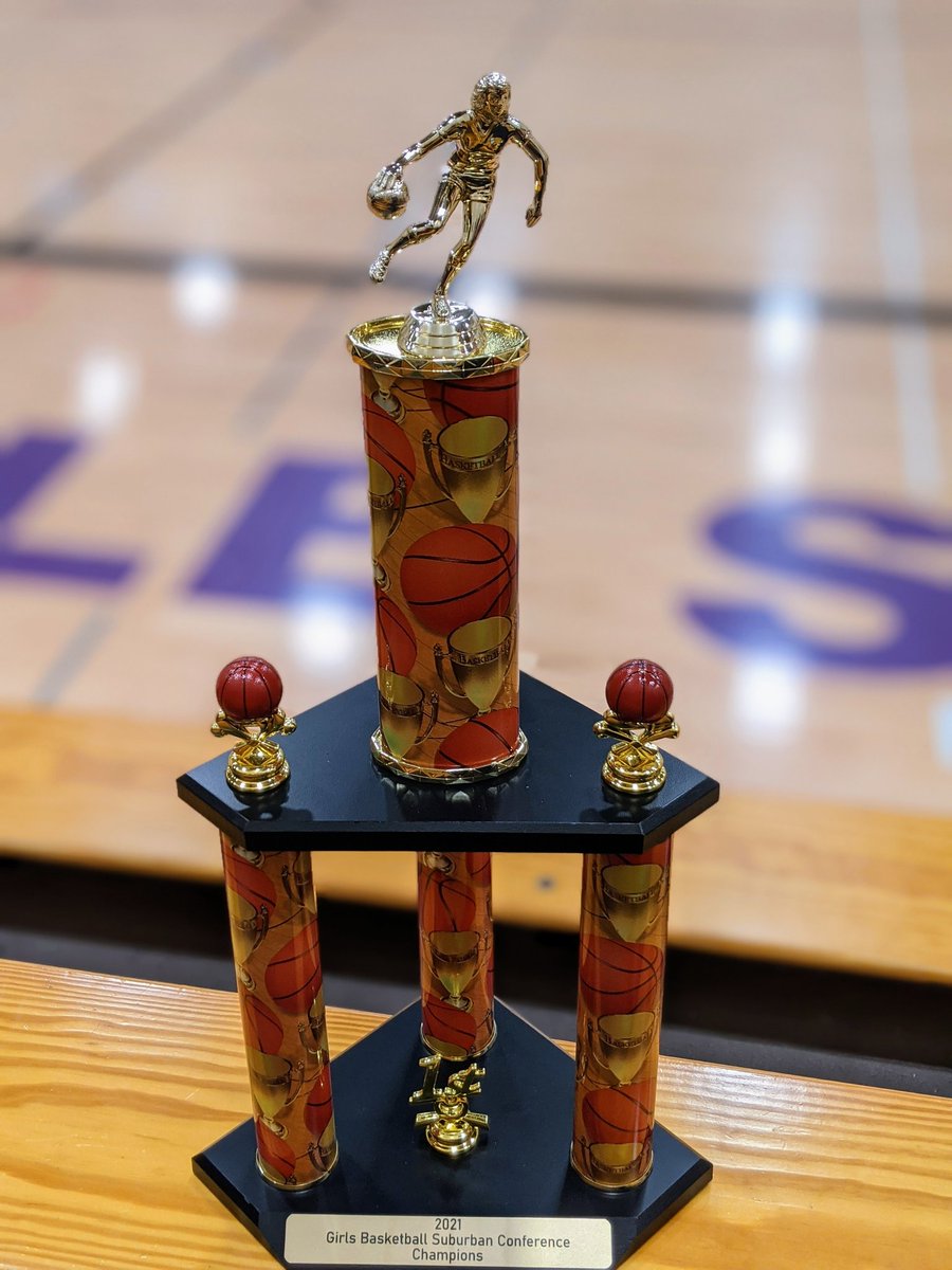 MPS_Beadle's tweet photo. Champions! Way to go Lady Bulldogs! @WittgrenBMS #Proud2bMPS https://t.co/fLsEAN0w7H