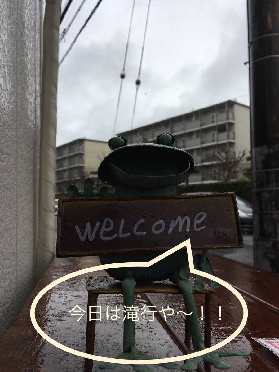 さくらや ちば八千代店 店に移動の時は土砂降りでした 今日も元気に11時 16時まで営業しております 車 の交通量が多く途切れないので 初のカエルくんあおり写真で対策w