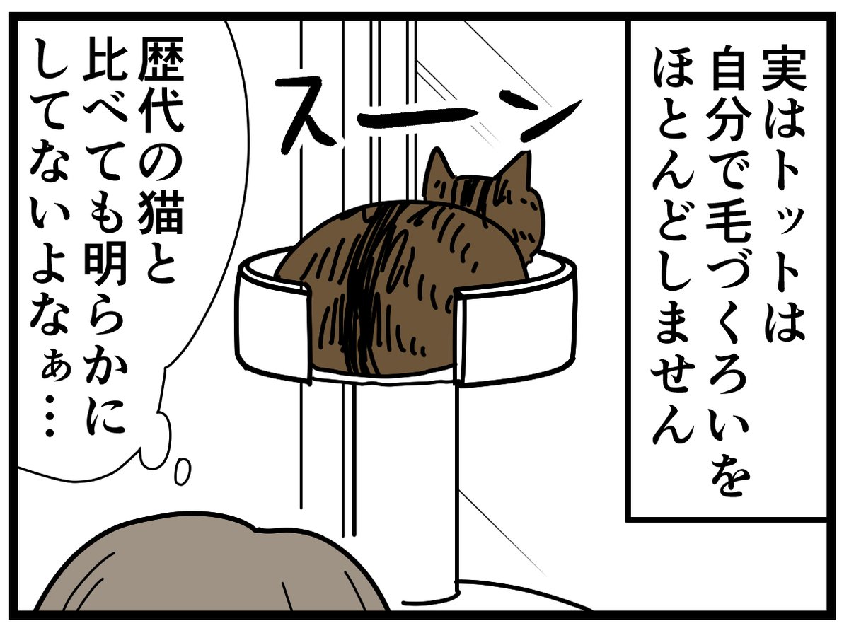 トットの毛艶を自慢したいだけの漫画
#エッセイ漫画 #猫漫画 #猫 