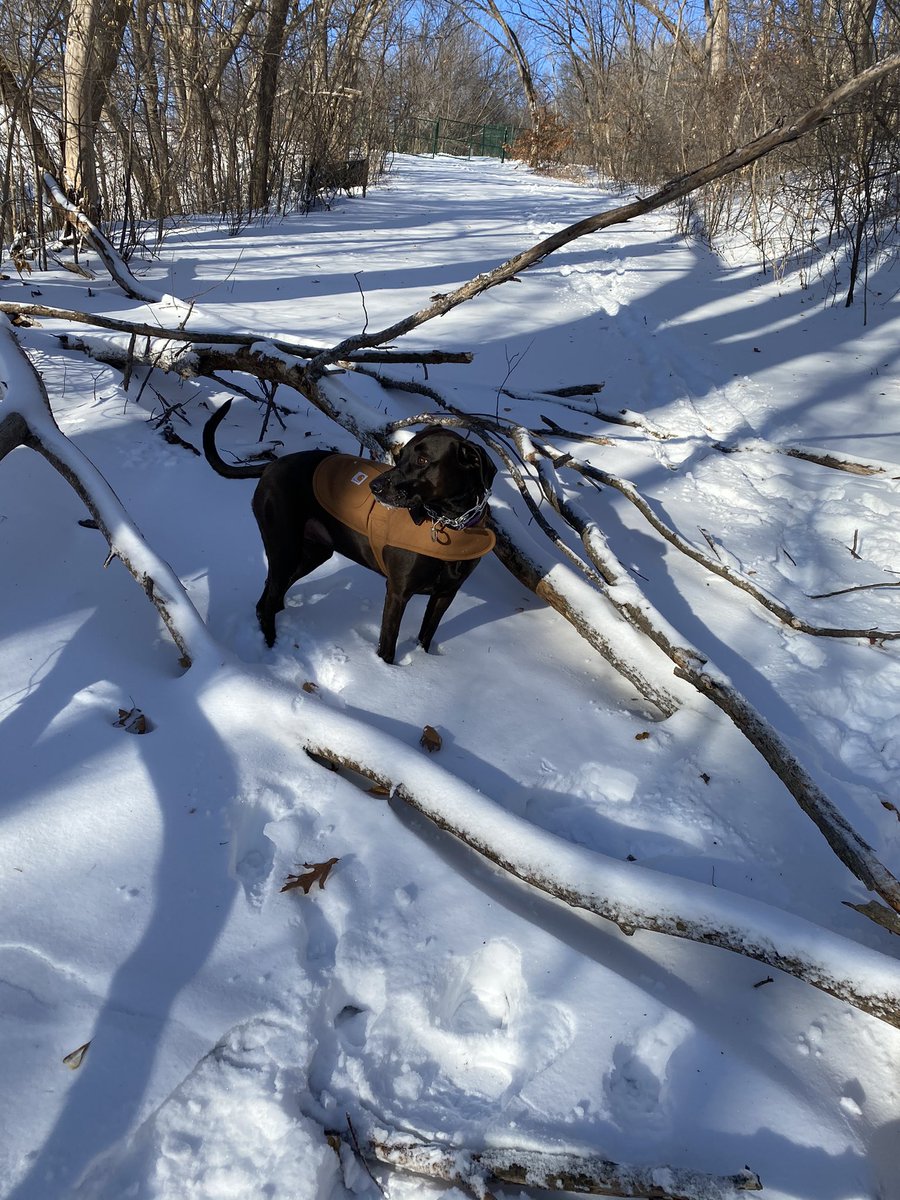 Kelli Carlson ✩ tweet media