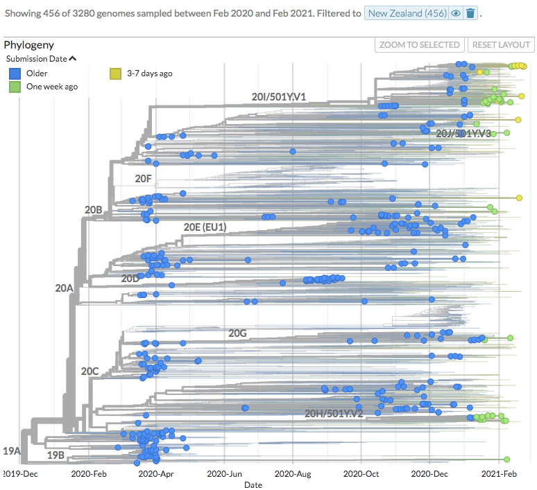 nextstrain's tweet photo. Thanks to #opendata sharing by @GISAID, we've updated https://t.co/SDPCOcJYEv with 22138 new #COVID19 #SARSCoV2 sequences!

New sequences from New Zealand (14) can be seen on https://t.co/ToVoJO0Gkb.

(Thanks to @ESRNewZealand, @MathStorey, @Joepdl, @sciolato)

1/15 https://t.co/nwwvOTfDO4