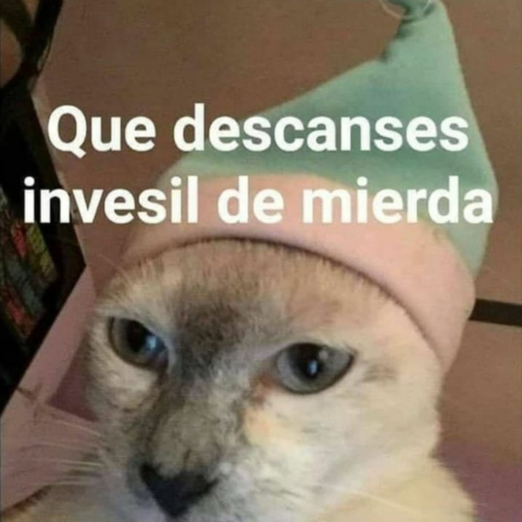 EveCam_'s tweet photo. Cuando me voy a dormir y estoy enojada con la persona que amo. https://t.co/PtvH6AiADL