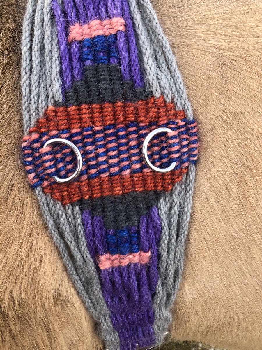 HomesteadwView's tweet image. 