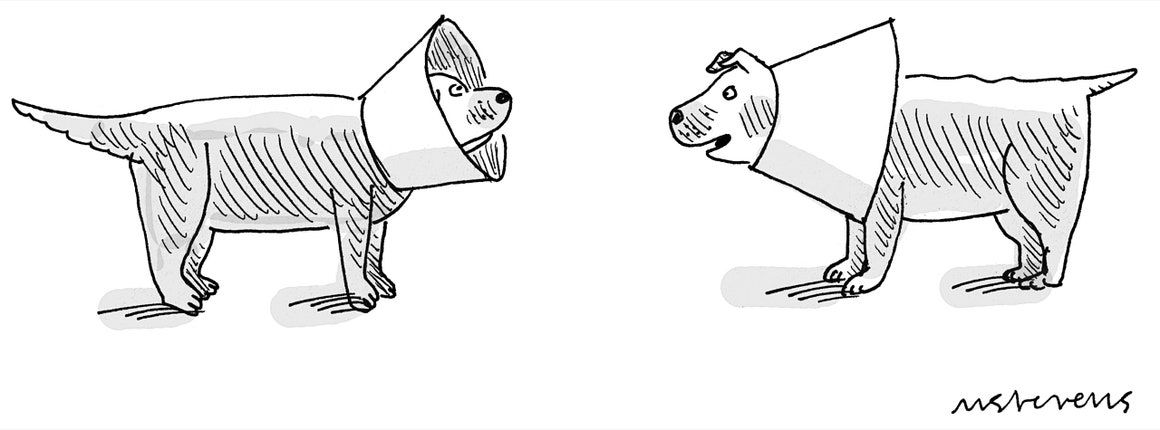 doc_nad's tweet photo. The Finalists!
My Entry in The New Yorker Cartoon Caption Contest #744 https://t.co/ehmV5ujQ6Q #MickStevens #Dog #DogCone #TheNewYorker #Cartoon #CaptionContest https://t.co/yM4eDXx2Ql