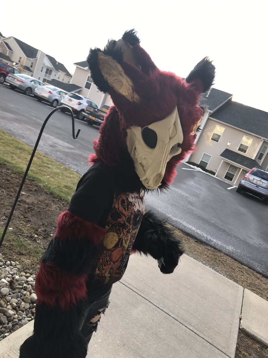 coffeedutchie's tweet photo. Hello Crimson arrived. Those are actually not her paws. The rest of her is arriving tmr. #furry #fursuit #fursuiter #skullfursuit #fursuitskull #furrycommunity #furryfandom https://t.co/xFCiRdqPey