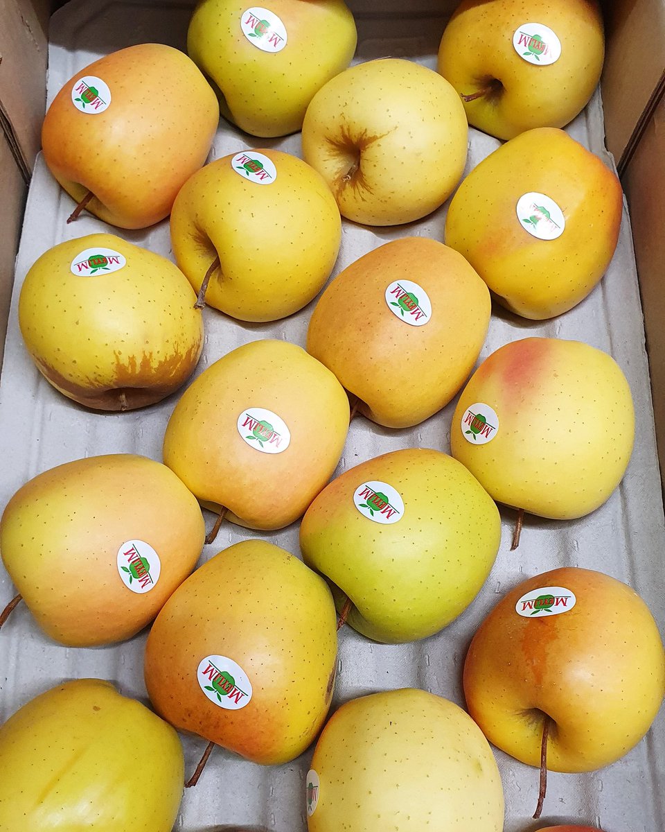 FrenchGardenBr's tweet photo. A French Golden Rosie Apple. A specialist item brought in from Rungis via @FrenchGardenUK let us know if there is anything we can source for you. ๐
#goldenrosie #apple #rungismarket #frenchproduce #specialistproduce #fgb #wholesaler #exoticproduce #bristolfruitmarket https://t.co/jllO6ekMGf