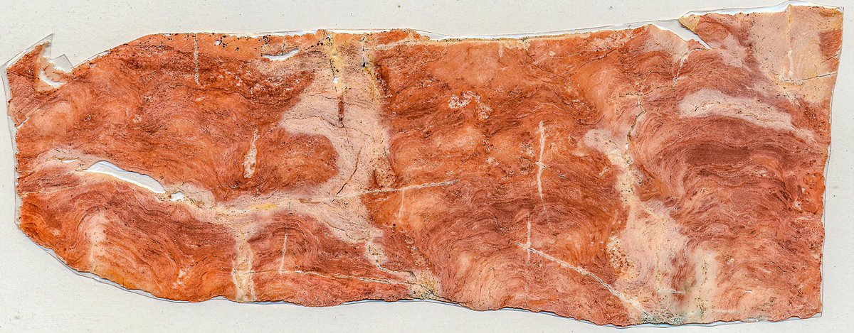Heidi_the_geo's tweet photo. I missed #microbialMonday but posting this today instead as itβs too pretty not to share.
Acetate peels of a branching microbialite c.650 million years old βοΈβ
Pic 1 c. 10cm across 2 c. 20cm across.
#microbialiteMonday #longweekend #itfeelslikeMonday #stromatolite https://t.co/icyPMovvJf