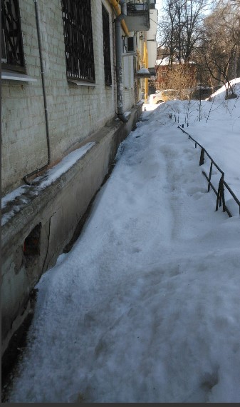 Андрей Петров tweet media
