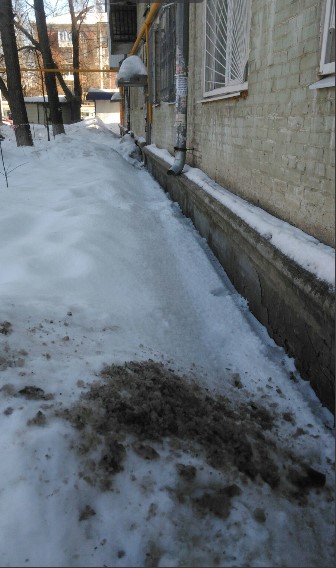 Андрей Петров tweet media