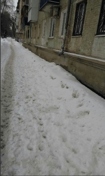 Андрей Петров tweet media