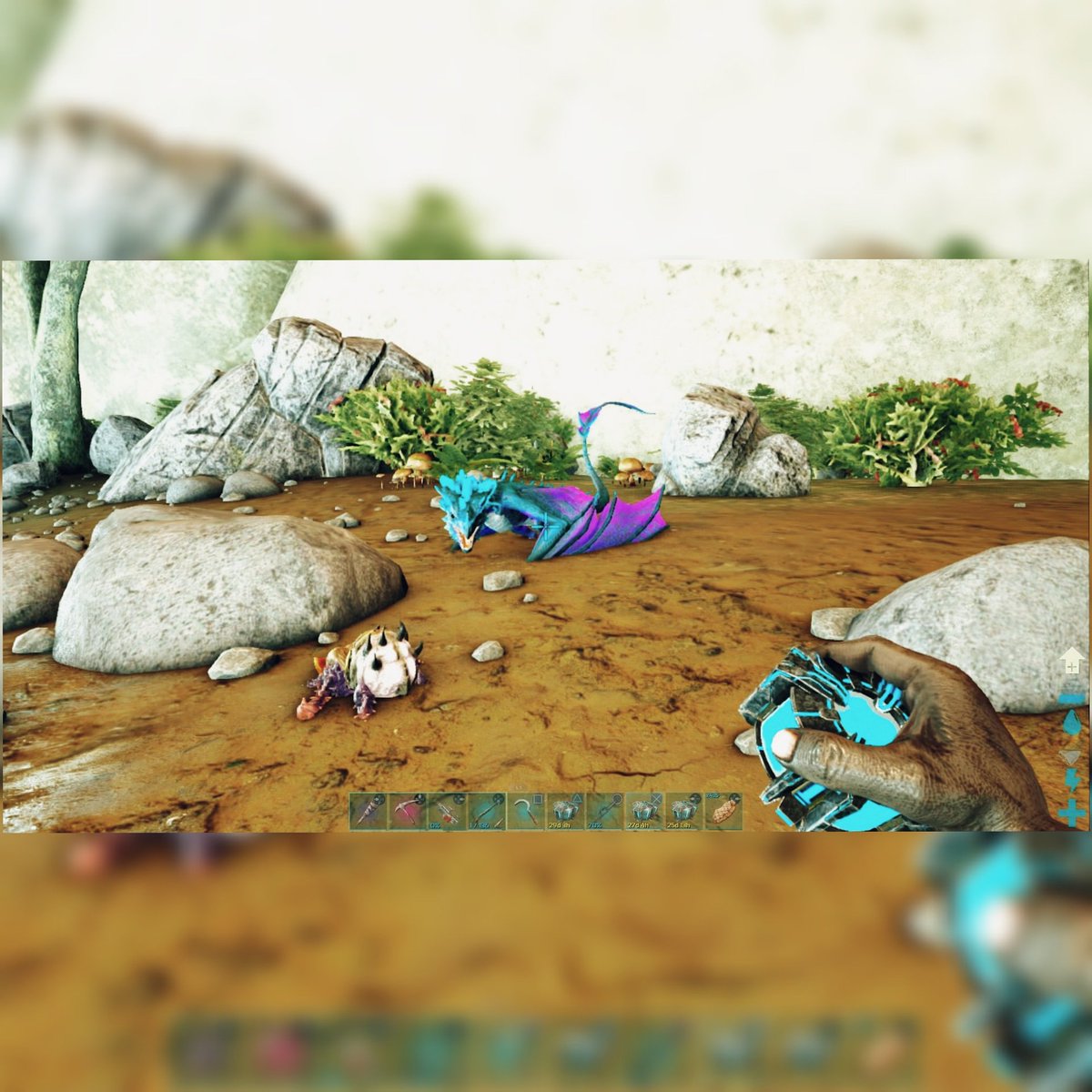 QuinocStreamer's tweet photo. Mutated male blue blood wyvern #ARKSurvivalEvolved #bloodwyvern #arkstreamer https://t.co/fLTV2vc0zU