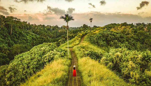 bhaskar27jb's tweet photo. Dreaming of a Bali adventure? This route connects food and beaches in Seminyak to art and spirituality experiences in Ubud and mountain temples in East Bali. #teammarriott https://t.co/662sCfse8X https://t.co/4a6lrS6Zcu