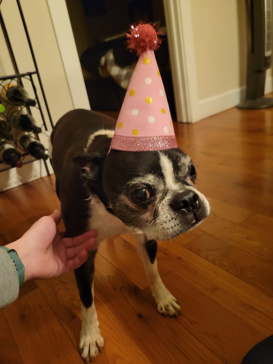 Happy 12th to this curmudgeon of goodness.