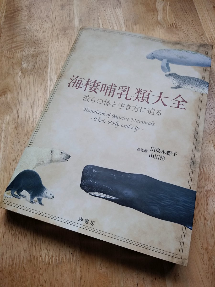 海棲哺乳類大全