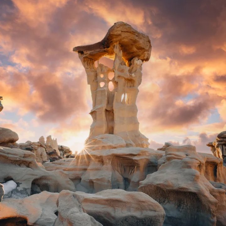 Newly sober. Almost 40 days. It's amazing how crystal clear things can get..how people flee when you see the truth.. how toxic that glue was that held my life together for way longer than I was even meant to be alive.. I want learn as much as I can about these end of times.🙃