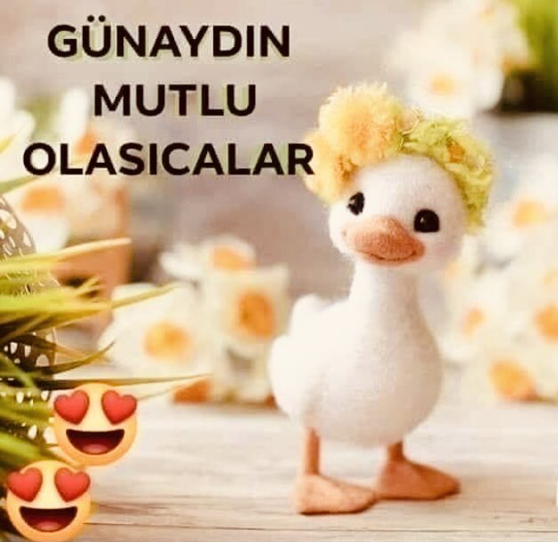 lhn_ym's tweet photo. minicik de olsa tebessümle güne başla...🌿
#günaydın
#salı https://t.co/jjkJ0V2FT9